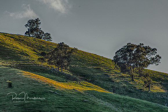 2021_10_25_9999_7