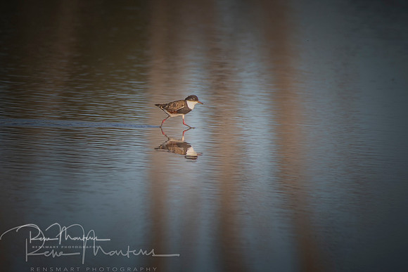 2019_09_17_9999_60 sig
