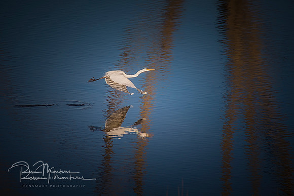 2019_09_17_9999_112 sig