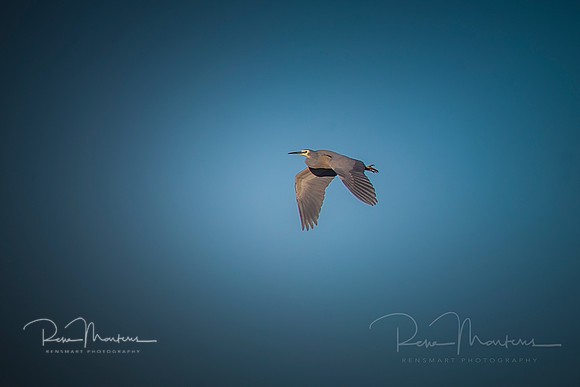 2019_09_17_9999_177 sig