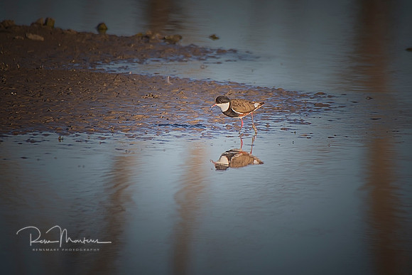 2019_09_17_9999_56