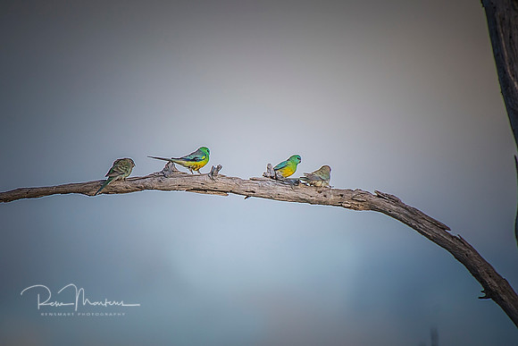 2019_09_09_9999_78