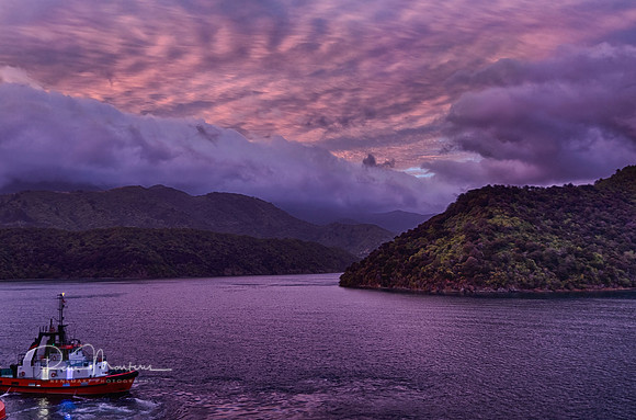 2024_03_08_1078_HDR