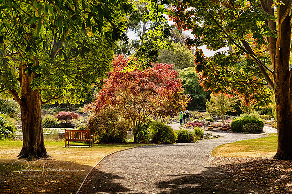 2024_03_09_1877_HDR