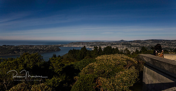 dunedin lookout