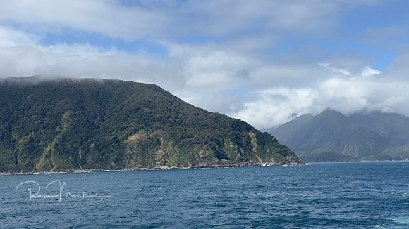 IMG_5857