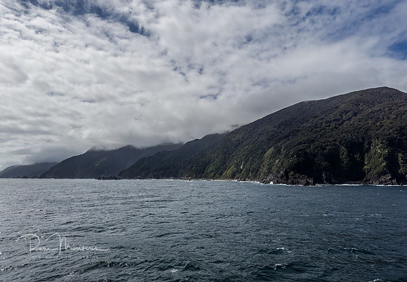 IMG_5855