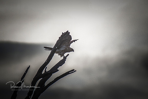 2020_05_12_7298