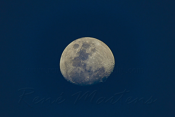 2020-09-28-19.47.54 ZS PMax