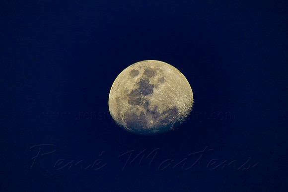 Moon
