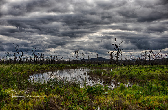 2020_09_24_9999_45_HDR