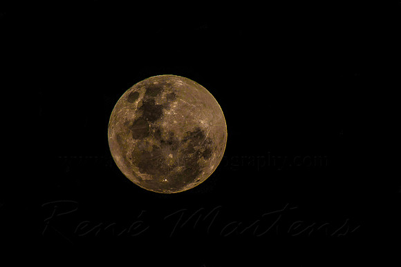 Moon