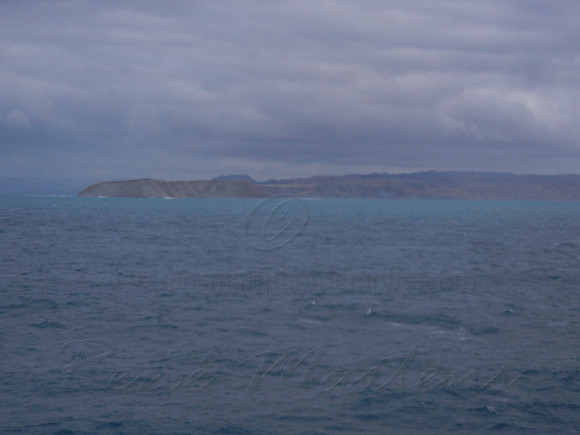 DSCN0533