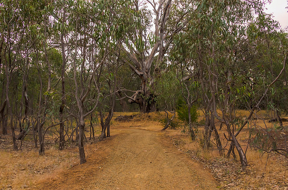 2013_11_07_00070173_4_5_6_7_tonemapped