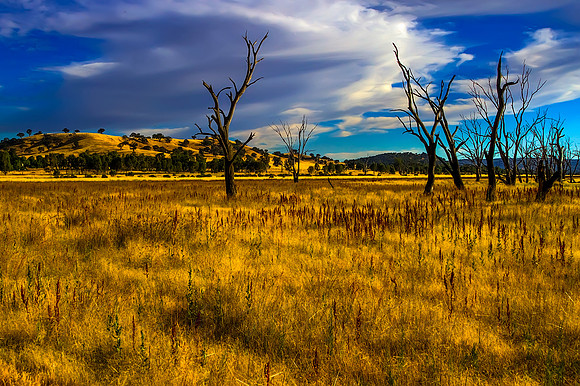 2013_12_27_00079009_10_11_tonemapped