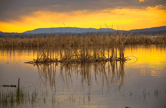 2013_10_09_00067124_5_6_7_8_tonemapped