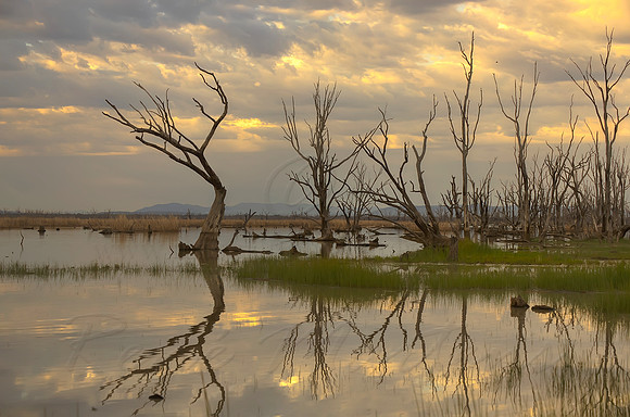 2013_10_09_00067153_4_5_6_7_tonemapped