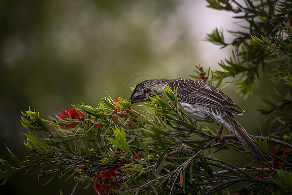 2016_11_11_00039485