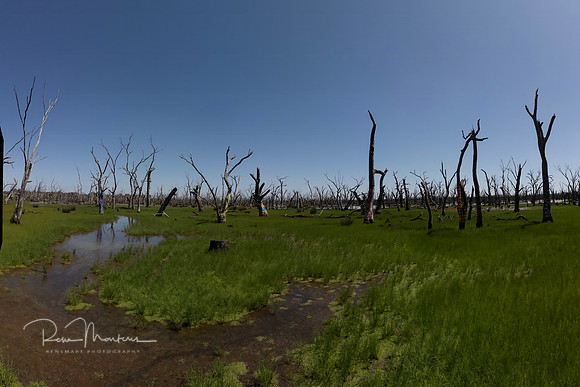Water Gallery 1