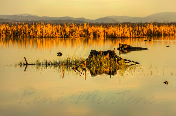 2013_10_04_00066165_6_7_8_9_tonemapped