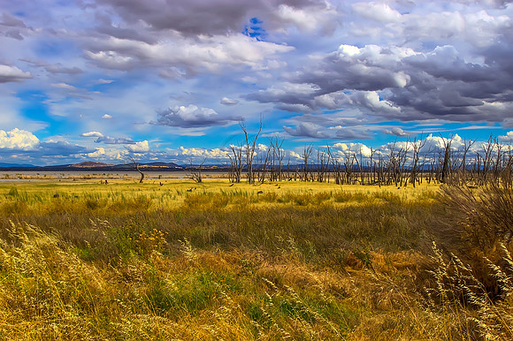 2013_12_13_00077049_50_51_tonemapped