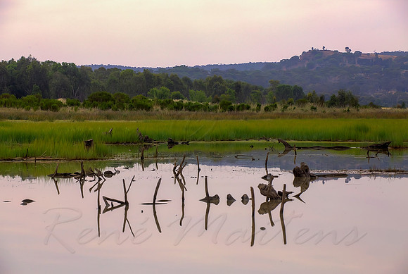 2013_11_08_00070277_78_79_80_81_tonemapped
