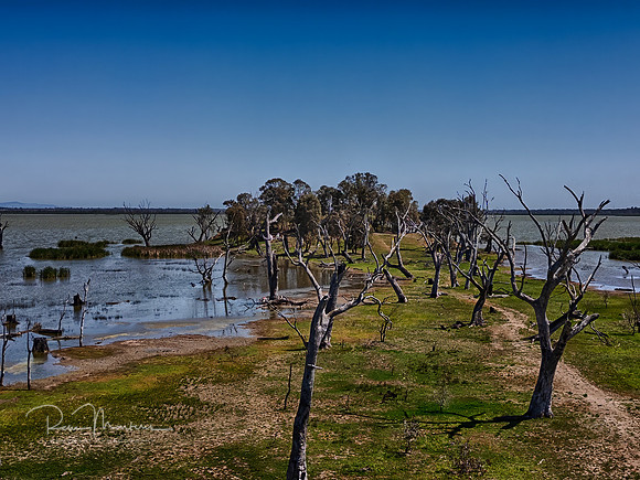 DJI_0394_HDR