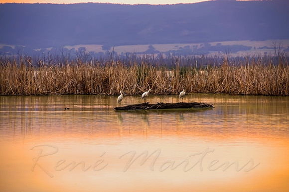2013_11_08_00070203_4_5_6_7_tonemapped