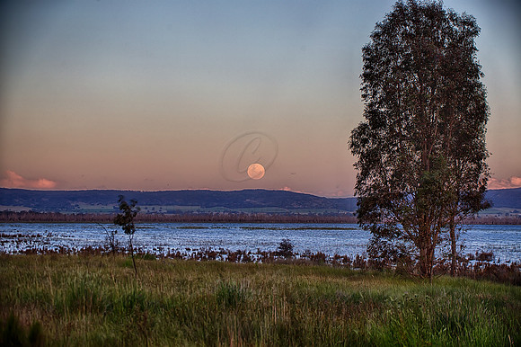 2016_11_14_00039637_HDR