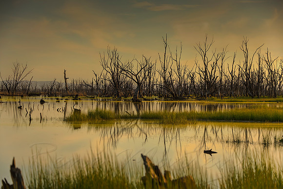 2013_10_04_00066180_1_2_3_4_tonemapped