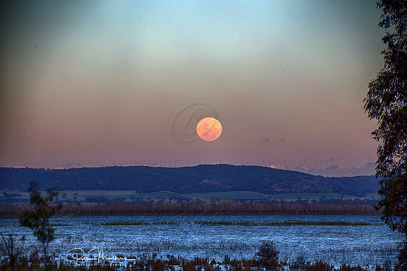 2016_11_14_00039652sig
