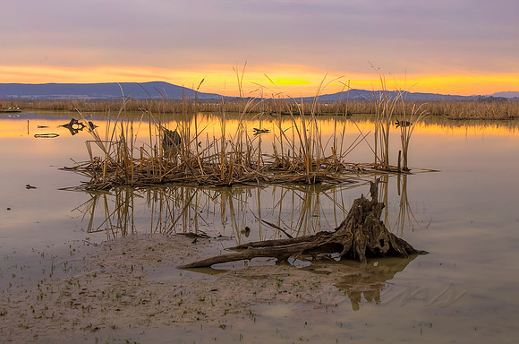 2013_11_08_00070297_298_299_300_301_tonemapped
