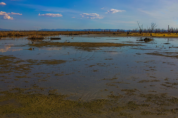 2013_12_17_00078403_4_5_6_7_tonemapped