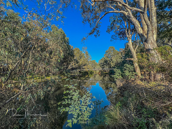 IMG_2159