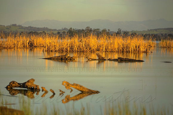 2013_10_04_00066175_6_7_8_9_tonemapped