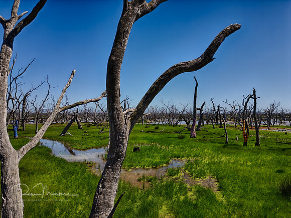 DJI_0384_HDR