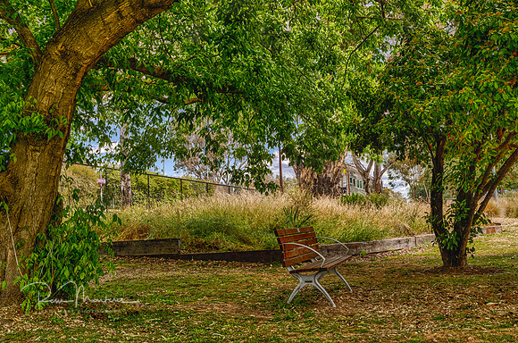 2024_10_27_0016_HDR