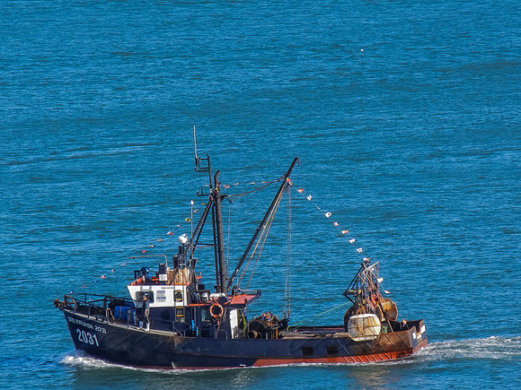 DSCN0309