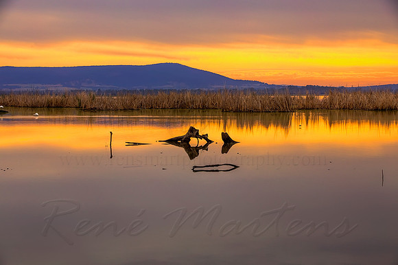 2013_11_08_00070272_3_4_5_6_tonemapped