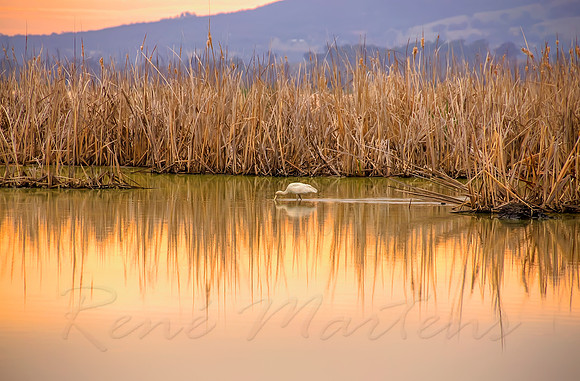 2013_11_08_00070243_4_5_6_7_tonemapped