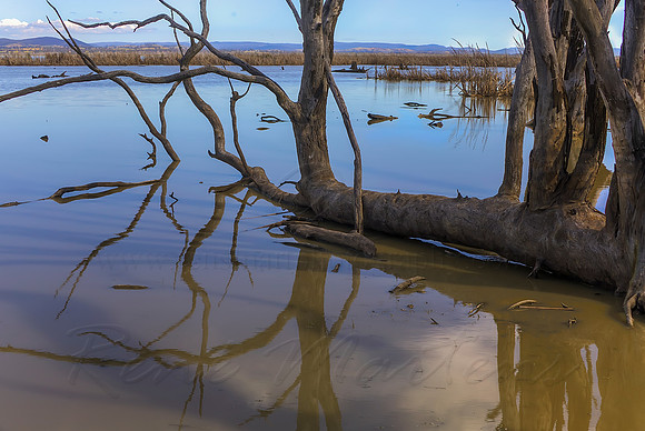 2013_10_31_00069936_37_38_39_40_tonemapped