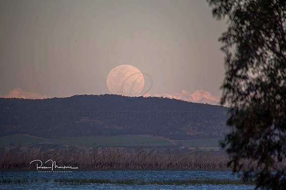 2016_11_14_00039616 sig