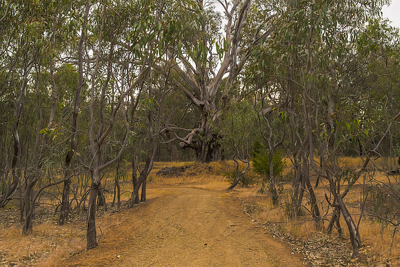 2013_11_07_00070188_89_90_91_92_tonemapped