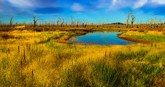 2013_12_27_00079003_4_5_tonemapped